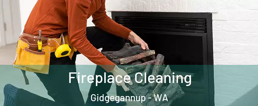 Fireplace Cleaning Gidgegannup - WA