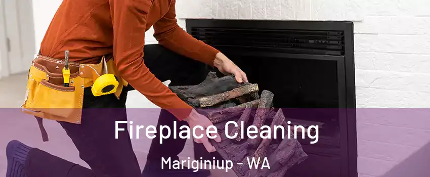  Fireplace Cleaning Mariginiup - WA