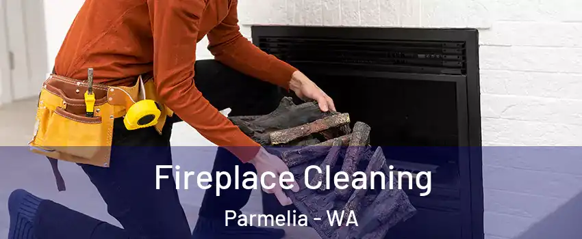  Fireplace Cleaning Parmelia - WA