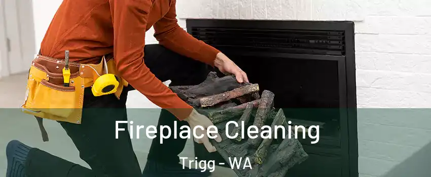 Fireplace Cleaning Trigg - WA