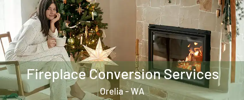 Fireplace Conversion Services Orelia - WA