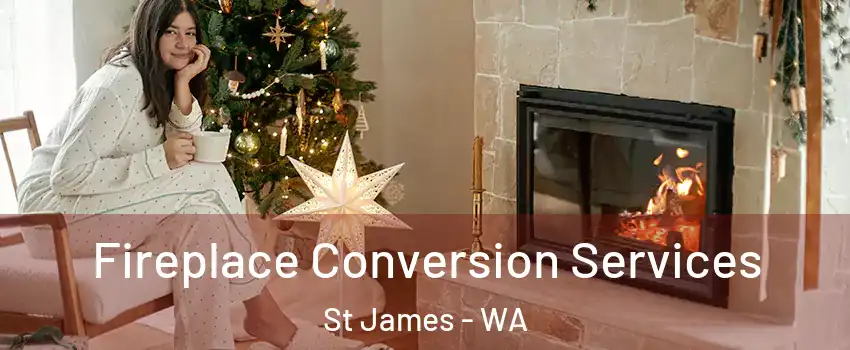 Fireplace Conversion Services St James - WA