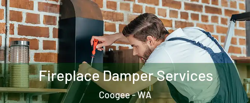 Fireplace Damper Services Coogee - WA