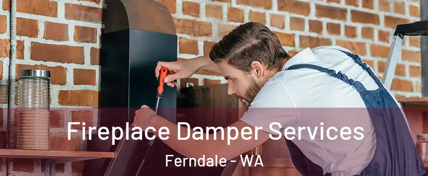 Fireplace Damper Services Ferndale - WA