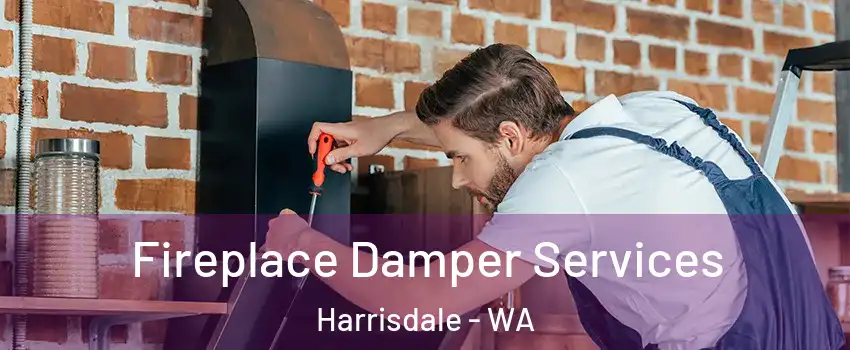 Fireplace Damper Services Harrisdale - WA
