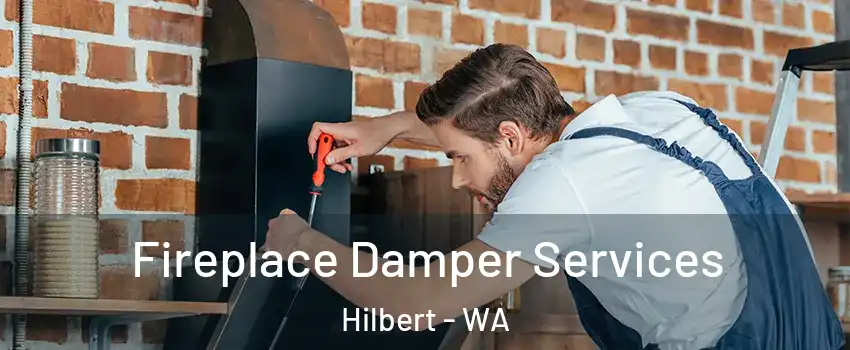 Fireplace Damper Services Hilbert - WA