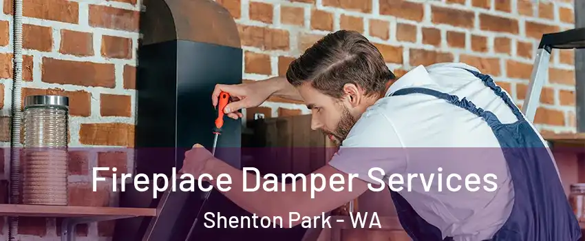 Fireplace Damper Services Shenton Park - WA