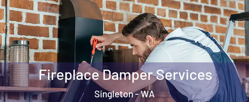 Fireplace Damper Services Singleton - WA