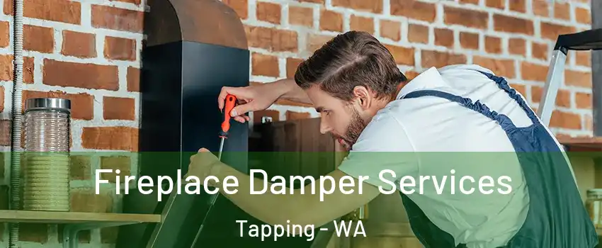 Fireplace Damper Services Tapping - WA