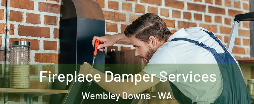 Fireplace Damper Services Wembley Downs - WA
