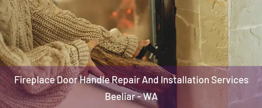 Fireplace Door Handle Repair And Installation Services Beeliar - WA