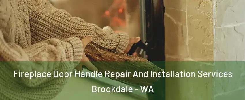 Fireplace Door Handle Repair And Installation Services Brookdale - WA