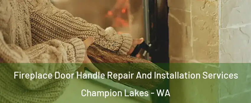 Fireplace Door Handle Repair And Installation Services Champion Lakes - WA