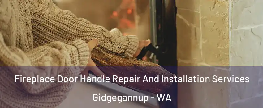 Fireplace Door Handle Repair And Installation Services Gidgegannup - WA