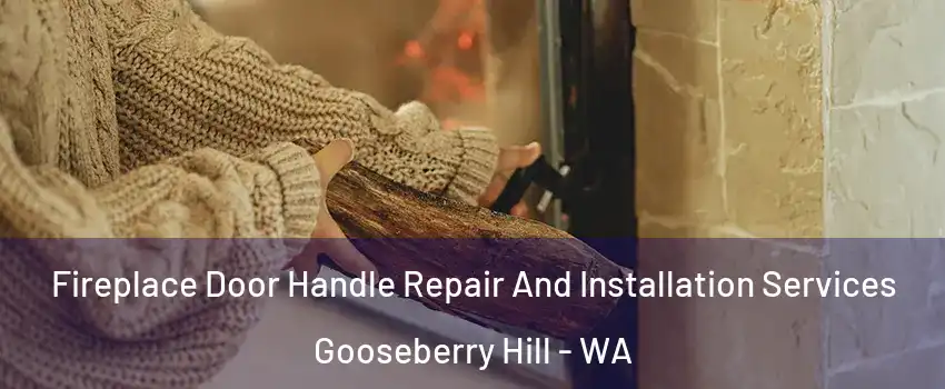 Fireplace Door Handle Repair And Installation Services Gooseberry Hill - WA