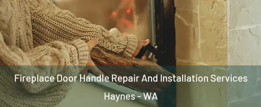 Fireplace Door Handle Repair And Installation Services Haynes - WA