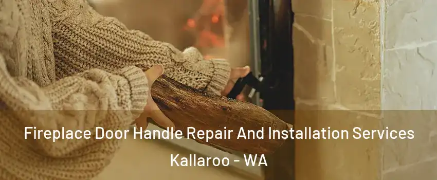 Fireplace Door Handle Repair And Installation Services Kallaroo - WA