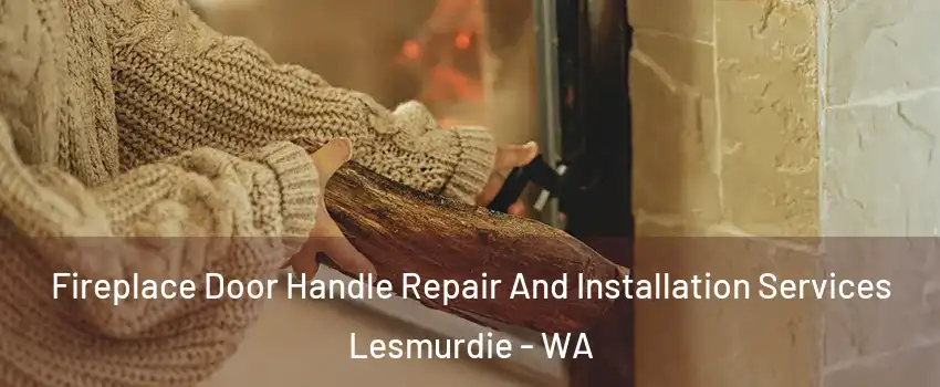 Fireplace Door Handle Repair And Installation Services Lesmurdie - WA
