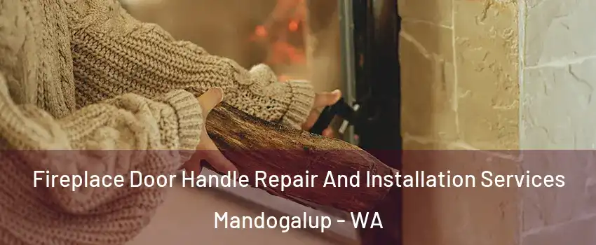 Fireplace Door Handle Repair And Installation Services Mandogalup - WA