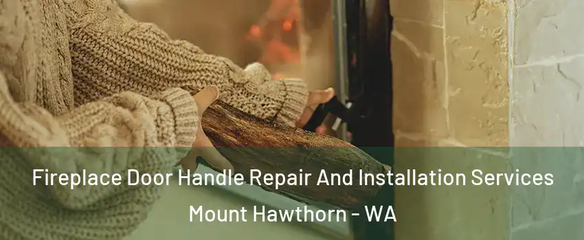 Fireplace Door Handle Repair And Installation Services Mount Hawthorn - WA