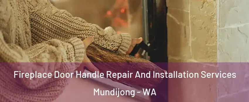 Fireplace Door Handle Repair And Installation Services Mundijong - WA