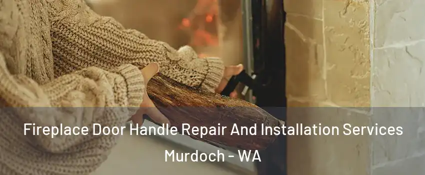 Fireplace Door Handle Repair And Installation Services Murdoch - WA