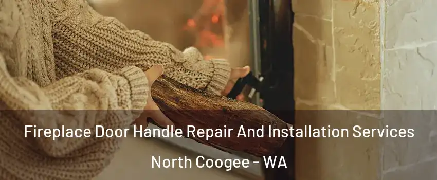 Fireplace Door Handle Repair And Installation Services North Coogee - WA