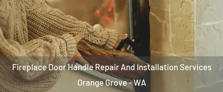 Fireplace Door Handle Repair And Installation Services Orange Grove - WA