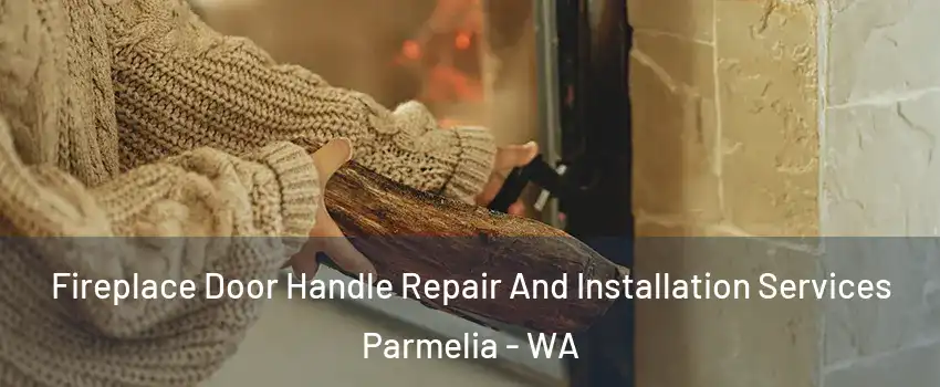 Fireplace Door Handle Repair And Installation Services Parmelia - WA