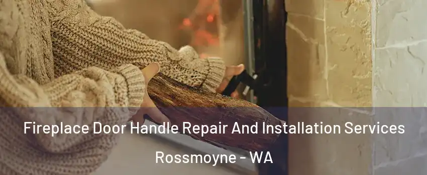 Fireplace Door Handle Repair And Installation Services Rossmoyne - WA