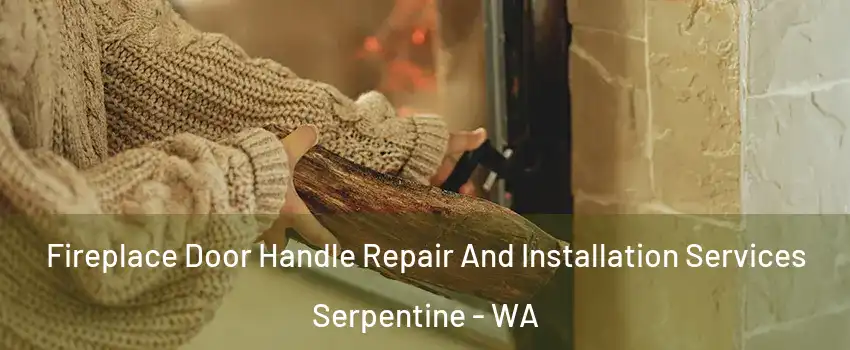 Fireplace Door Handle Repair And Installation Services Serpentine - WA