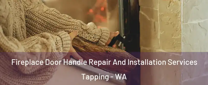 Fireplace Door Handle Repair And Installation Services Tapping - WA