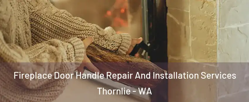 Fireplace Door Handle Repair And Installation Services Thornlie - WA
