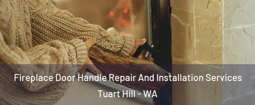 Fireplace Door Handle Repair And Installation Services Tuart Hill - WA