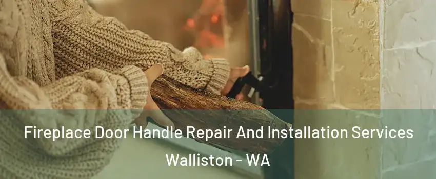 Fireplace Door Handle Repair And Installation Services Walliston - WA