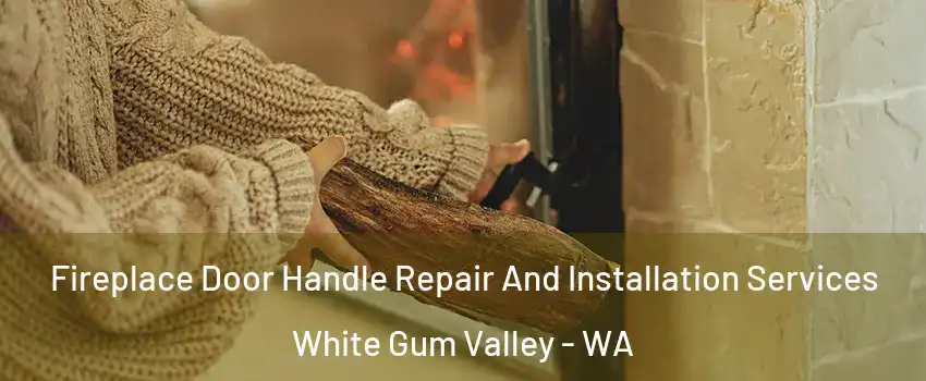 Fireplace Door Handle Repair And Installation Services White Gum Valley - WA