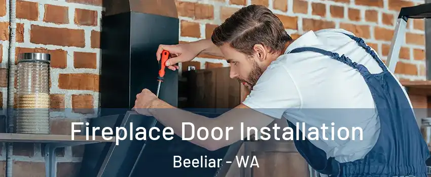 Fireplace Door Installation Beeliar - WA