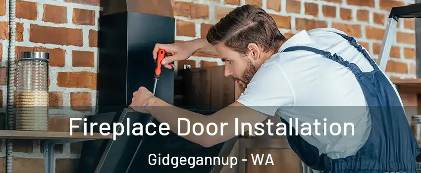 Fireplace Door Installation Gidgegannup - WA