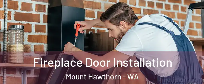 Fireplace Door Installation Mount Hawthorn - WA