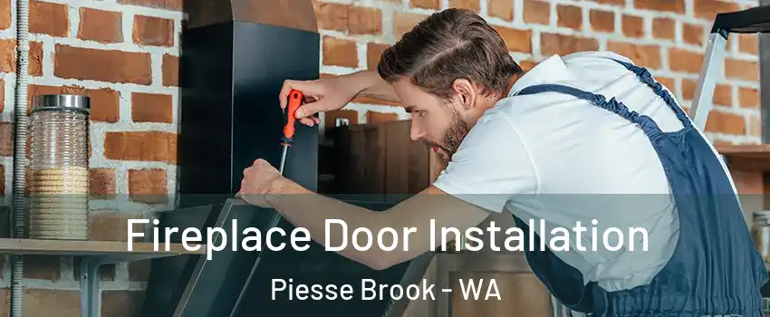  Fireplace Door Installation Piesse Brook - WA