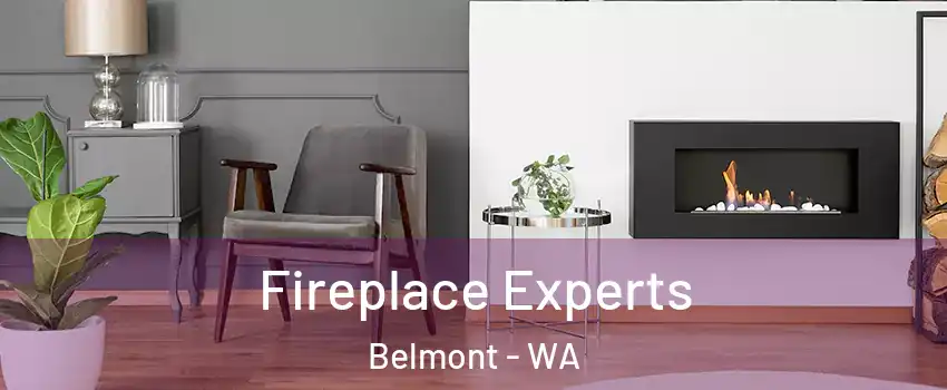Fireplace Experts Belmont - WA