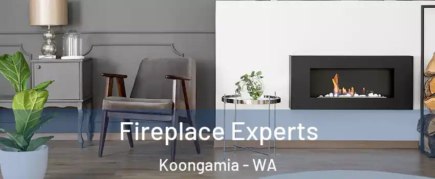 Fireplace Experts Koongamia - WA