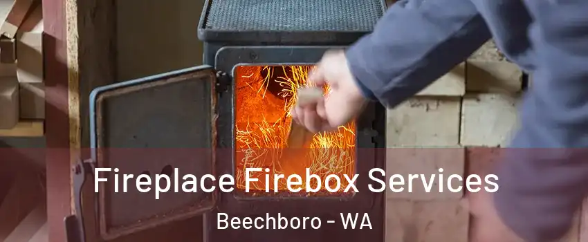 Fireplace Firebox Services Beechboro - WA