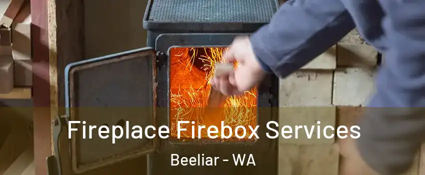 Fireplace Firebox Services Beeliar - WA