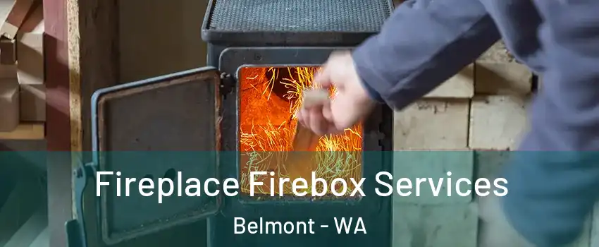Fireplace Firebox Services Belmont - WA