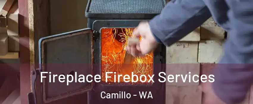 Fireplace Firebox Services Camillo - WA