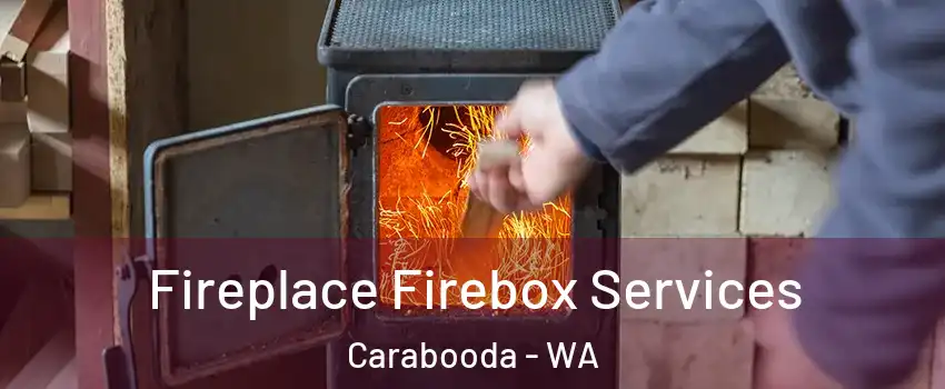 Fireplace Firebox Services Carabooda - WA