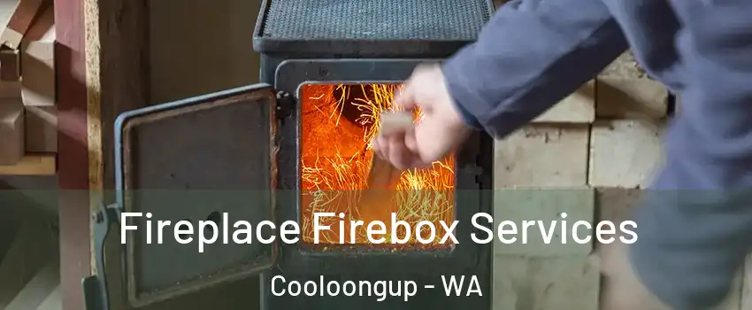 Fireplace Firebox Services Cooloongup - WA