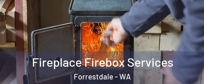 Fireplace Firebox Services Forrestdale - WA