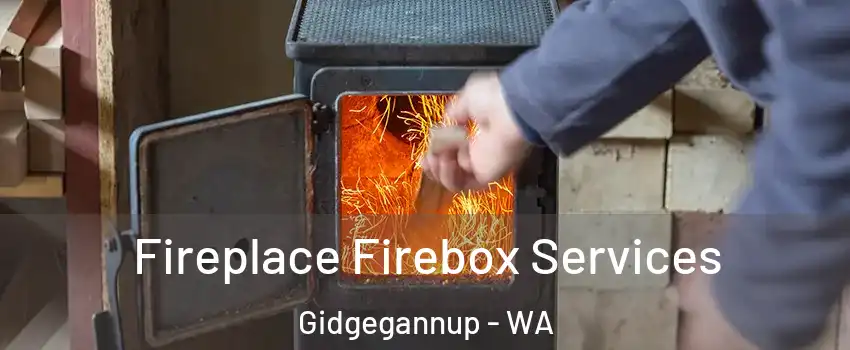 Fireplace Firebox Services Gidgegannup - WA